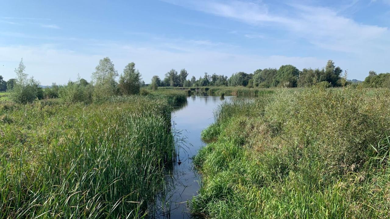 'T Paviljoenhus Bij Sneekermeer Offingawier エクステリア 写真
